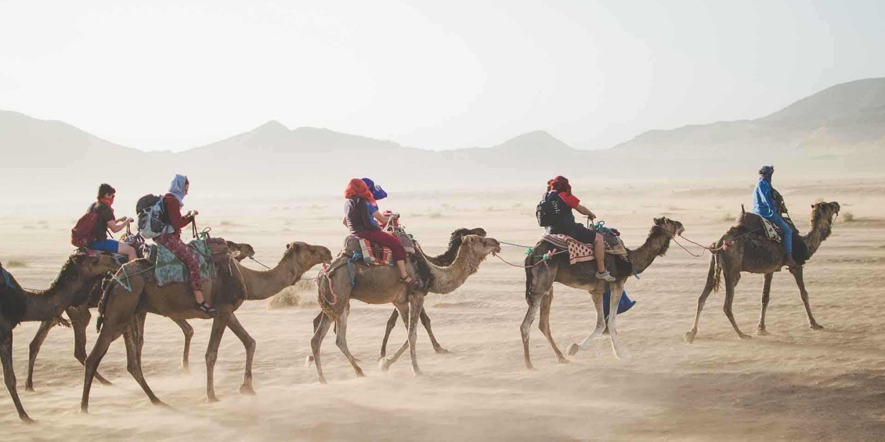 Camels Still Ideal for Crossing Desert Terrain